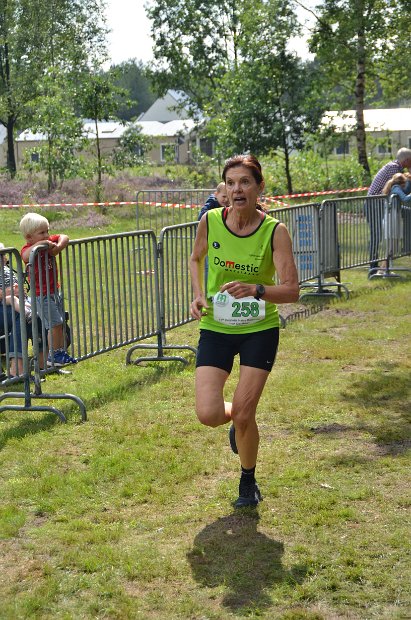estafette deel 1 - 2017 - 315